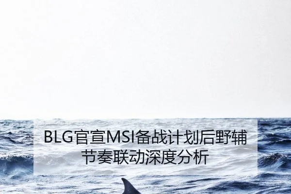 BLG官宣MSI备战计划后野辅节奏联动深度分析